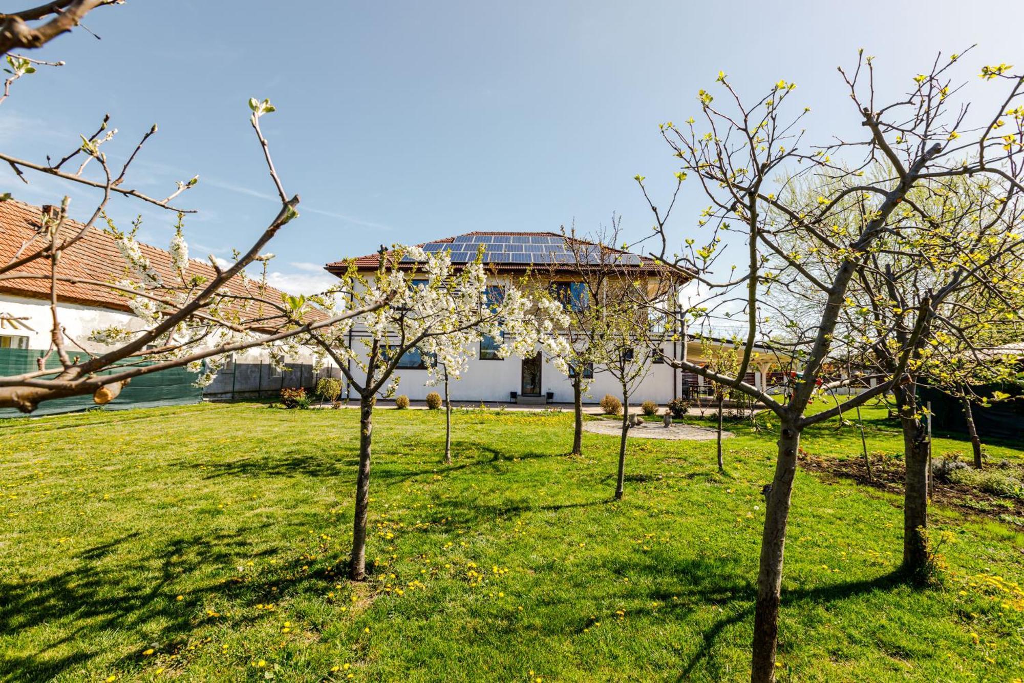 Hotel Gasthaus Sacalaz Temešvár Exteriér fotografie